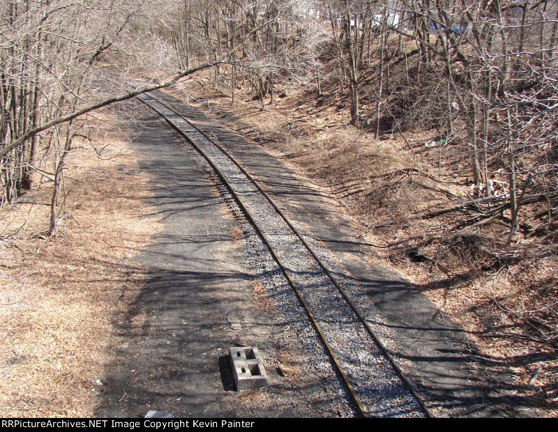 Schuylkill Valley Branch 